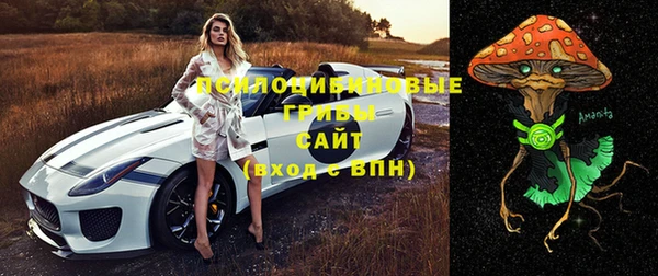 mix Абаза