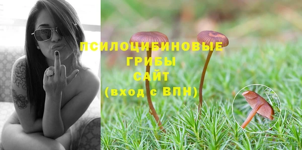 дживик Абинск