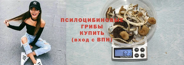 Альфа ПВП Покров